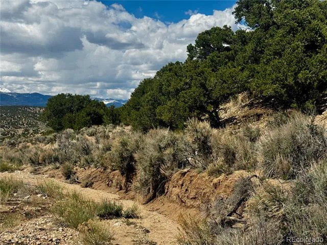 lot 3817 Fontaine Road Fort Garland, CO 81133