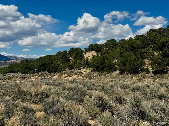 lot 3817 Fontaine Road Fort Garland, CO 81133