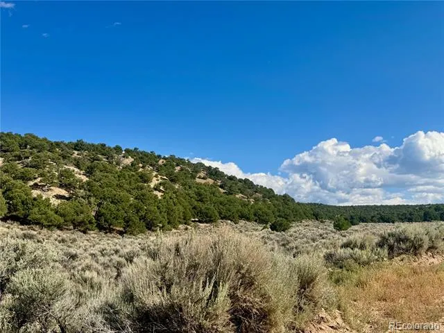 lot 3817 Fontaine Road Fort Garland, CO 81133