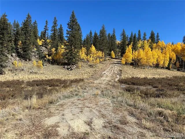 2092 Stagestop Road Jefferson, CO 80456