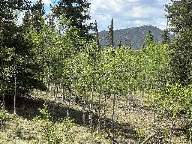 2092 Stagestop Road Jefferson, CO 80456