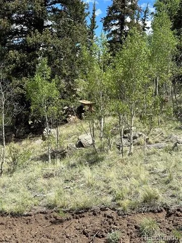 2092 Stagestop Road Jefferson, CO 80456