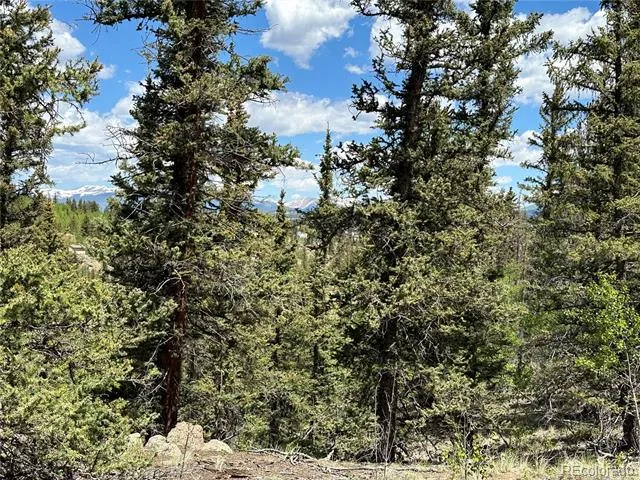 2092 Stagestop Road Jefferson, CO 80456