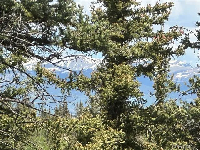 2092 Stagestop Road Jefferson, CO 80456