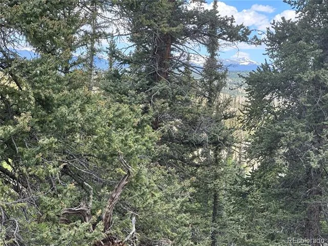 2092 Stagestop Road Jefferson, CO 80456