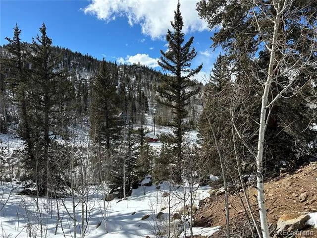 2092 Stagestop Road Jefferson, CO 80456