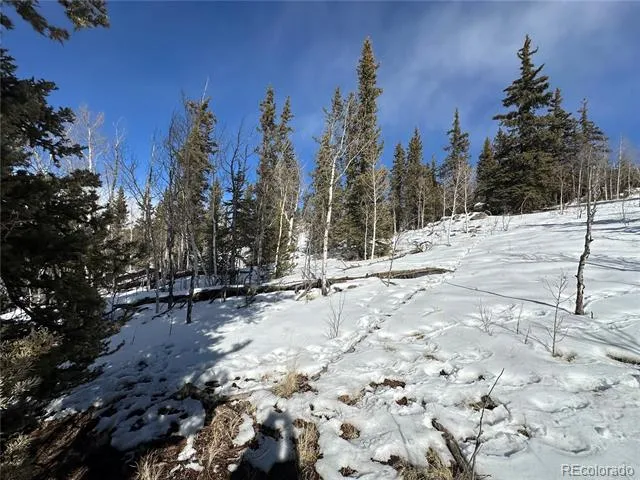 2092 Stagestop Road Jefferson, CO 80456