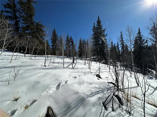 2092 Stagestop Road Jefferson, CO 80456
