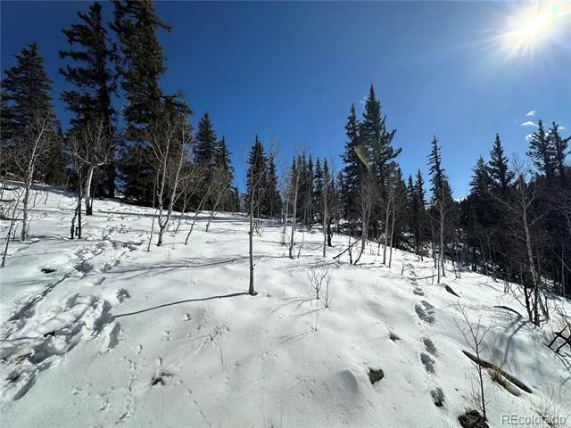 2092 Stagestop Road Jefferson, CO 80456