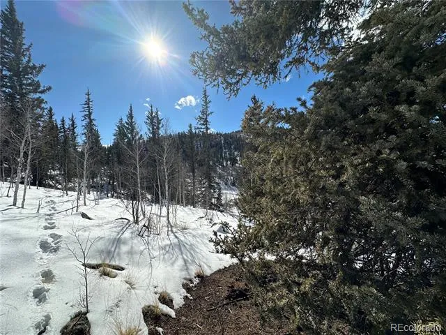 2092 Stagestop Road Jefferson, CO 80456