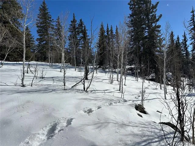 2092 Stagestop Road Jefferson, CO 80456