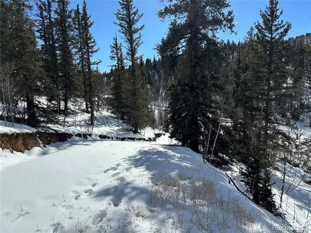 2092 Stagestop Road Jefferson, CO 80456