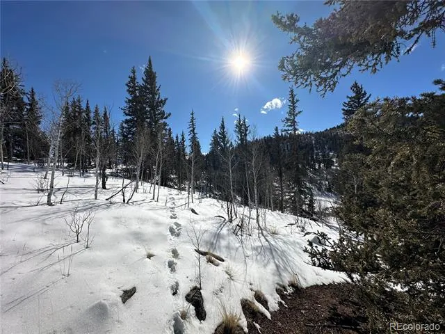 2092 Stagestop Road Jefferson, CO 80456
