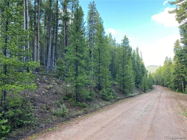 2687 Purnell Lane Fort Garland, CO 81133