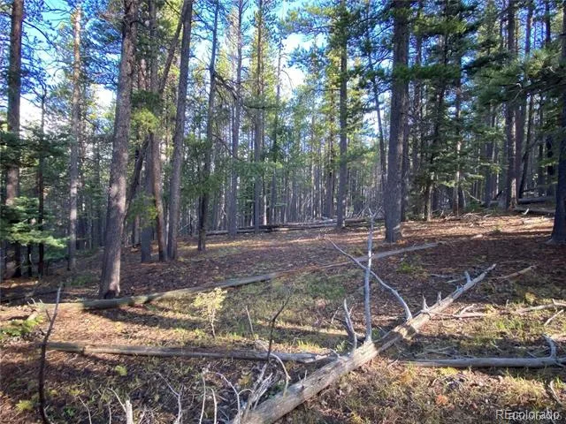 2687 Purnell Lane Fort Garland, CO 81133