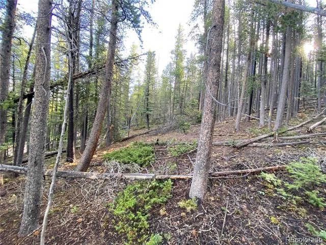 2687 Purnell Lane Fort Garland, CO 81133