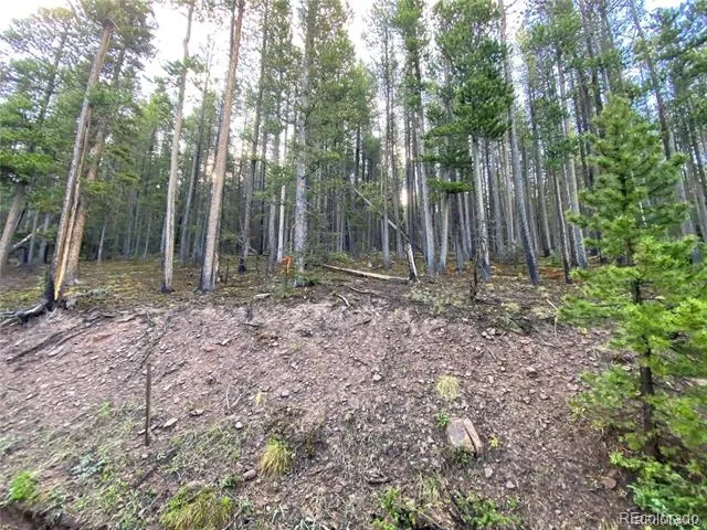 2687 Purnell Lane Fort Garland, CO 81133