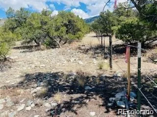 65 Mill Run Alamosa, CO 81101
