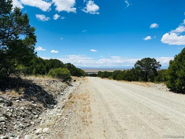 65 Mill Run Alamosa, CO 81101