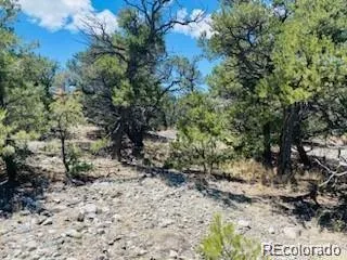 65 Mill Run Alamosa, CO 81101