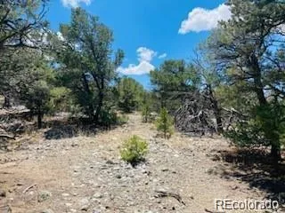 65 Mill Run Alamosa, CO 81101