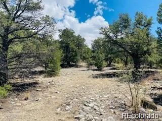 65 Mill Run Alamosa, CO 81101