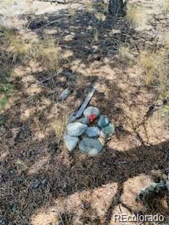 65 Mill Run Alamosa, CO 81101