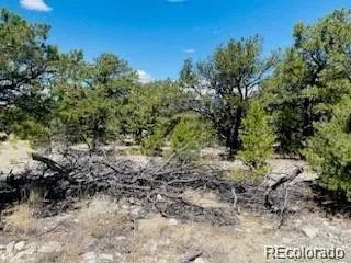 65 Mill Run Alamosa, CO 81101