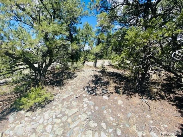 65 Mill Run Alamosa, CO 81101
