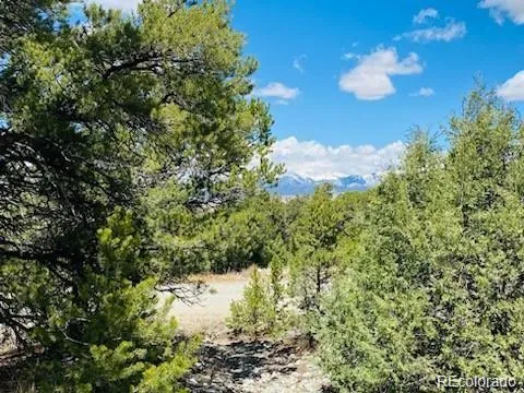 65 Mill Run Alamosa, CO 81101