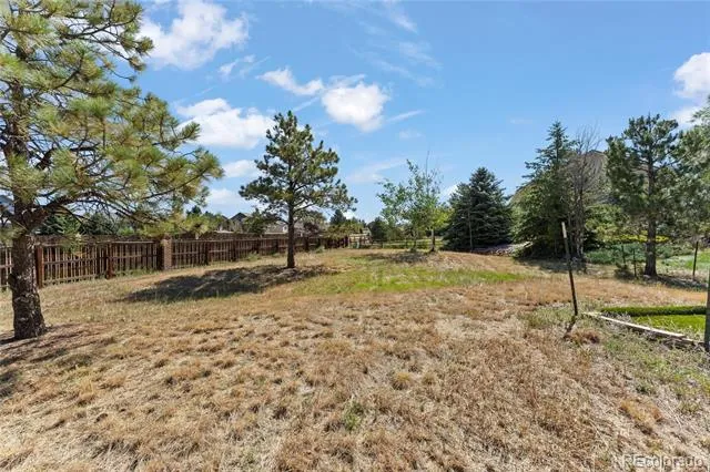 15390 Copperfield Drive Colorado Springs, CO 80921