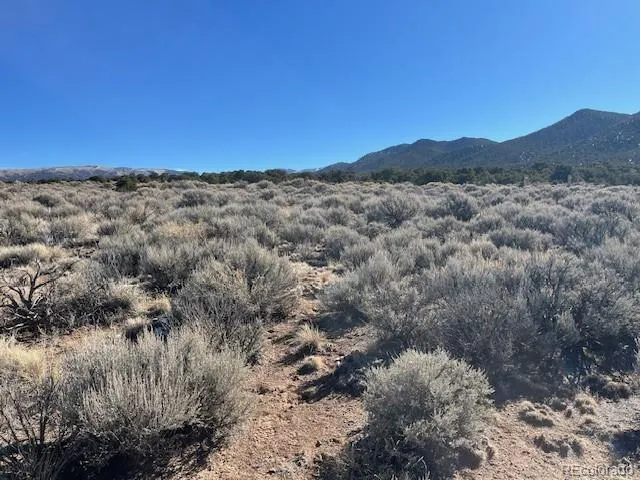 Lot 1188 Fleck Road Fort Garland, CO 81133