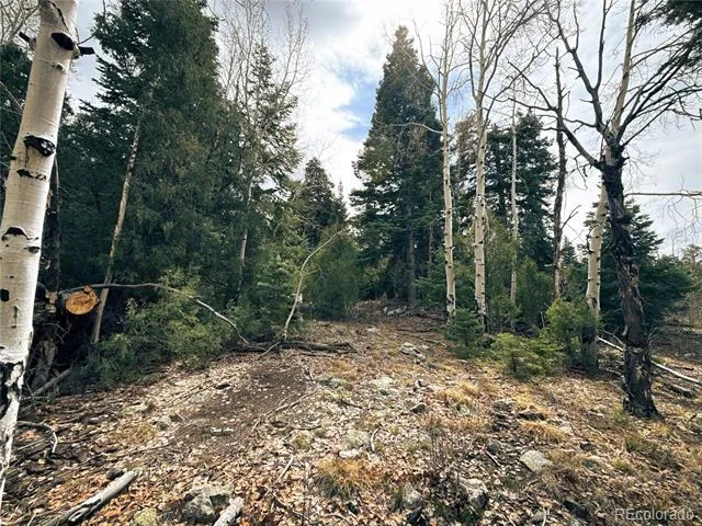 189 Cedar Ridge Road Mosca, CO 81146