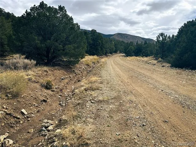 189 Cedar Ridge Road Mosca, CO 81146