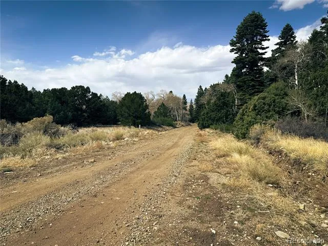 189 Cedar Ridge Road Mosca, CO 81146