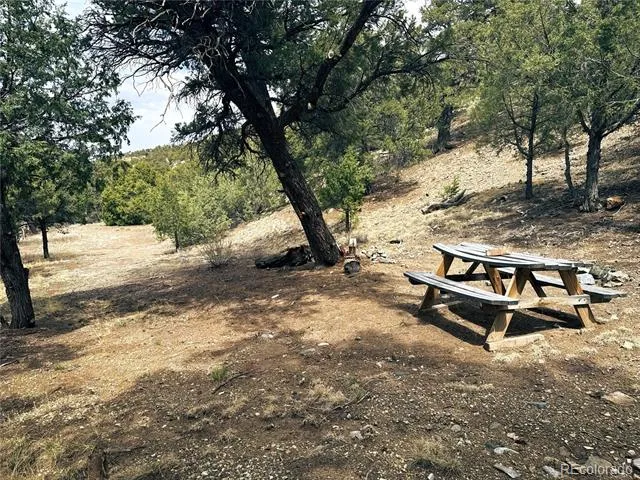 189 Cedar Ridge Road Mosca, CO 81146