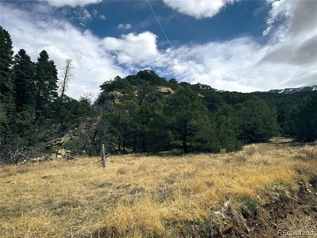 189 Cedar Ridge Road Mosca, CO 81146