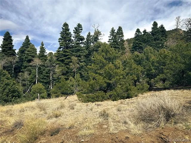 189 Cedar Ridge Road Mosca, CO 81146