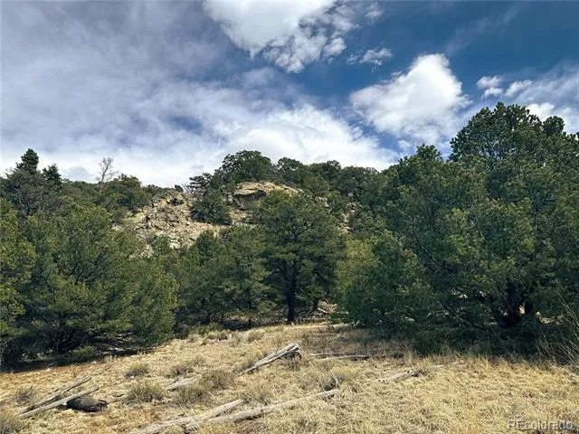 189 Cedar Ridge Road Mosca, CO 81146
