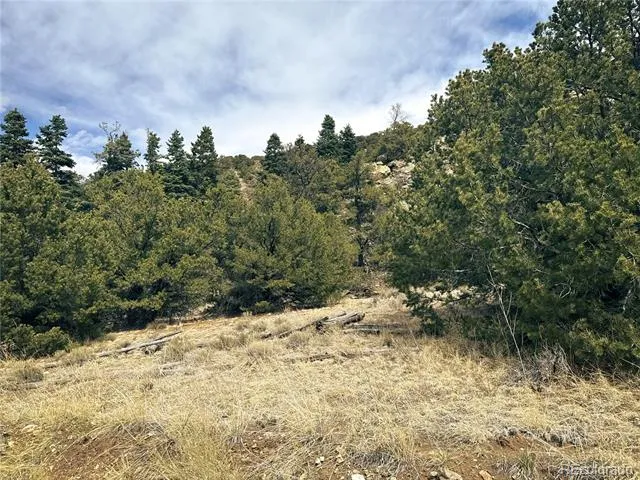 189 Cedar Ridge Road Mosca, CO 81146