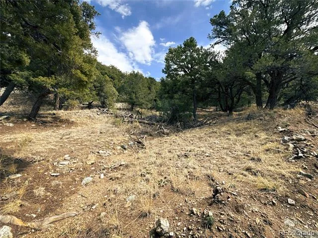 189 Cedar Ridge Road Mosca, CO 81146