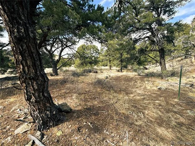 189 Cedar Ridge Road Mosca, CO 81146