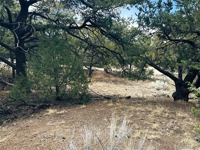 189 Cedar Ridge Road Mosca, CO 81146