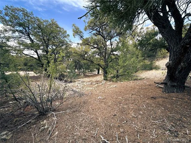 189 Cedar Ridge Road Mosca, CO 81146