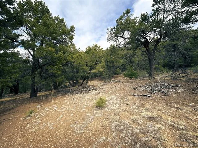 189 Cedar Ridge Road Mosca, CO 81146