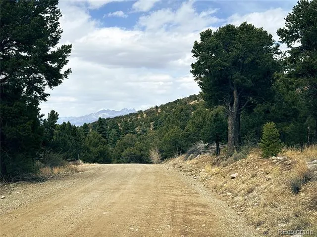 189 Cedar Ridge Road Mosca, CO 81146