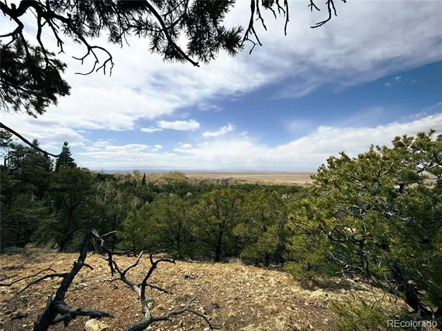 189 Cedar Ridge Road Mosca, CO 81146