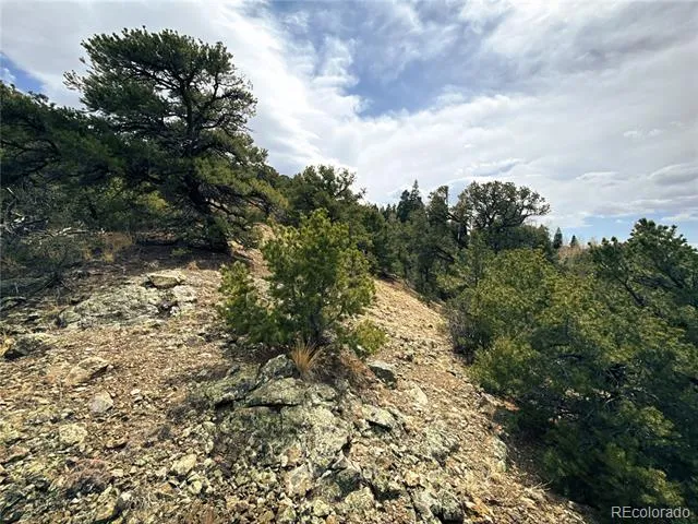 189 Cedar Ridge Road Mosca, CO 81146