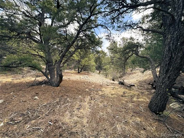 189 Cedar Ridge Road Mosca, CO 81146