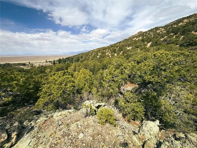 189 Cedar Ridge Road Mosca, CO 81146